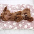 【QIDINA】寵物柔軟法蘭絨保暖暖暖墊 S；M(寵物墊 寵物窩 寵物睡窩)