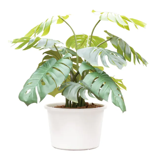 【翠筠用品】穩優圓盆 1尺4