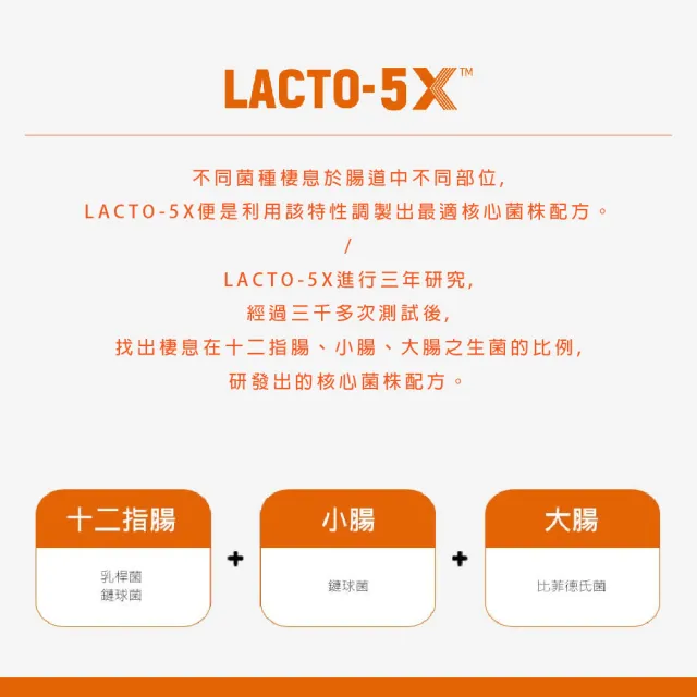 【韓國鍾根堂】LACTO-FIT GOLD升級版 益生菌 大童與成人款 4入(200包)