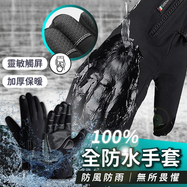 DREAMCATCHER 可觸控禦寒防水保暖手套2入組(五指