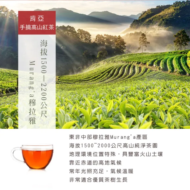 【High Tea】芯雅莊園紅茶2gx12入x1袋(肯亞手摘高山紅茶)