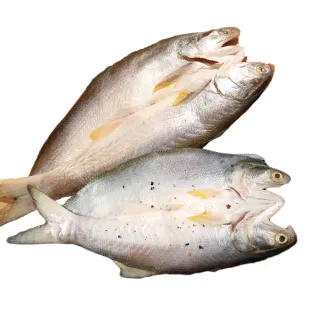 【佐佐鮮】一夜干午仔魚3包組(每包240g共3包 原味\馬告 古法醃料 日本居酒屋 燒烤 煎炸)