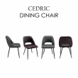 【E-home】Cedric西德里克鏤空PU面金屬黑腳休閒餐椅 2色可選(網美椅 會客椅 美甲 高背 休閒)