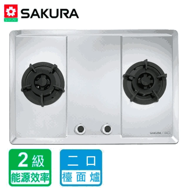 SAKURA 櫻花 抗風型屋外傳統熱水器GH1021 10L