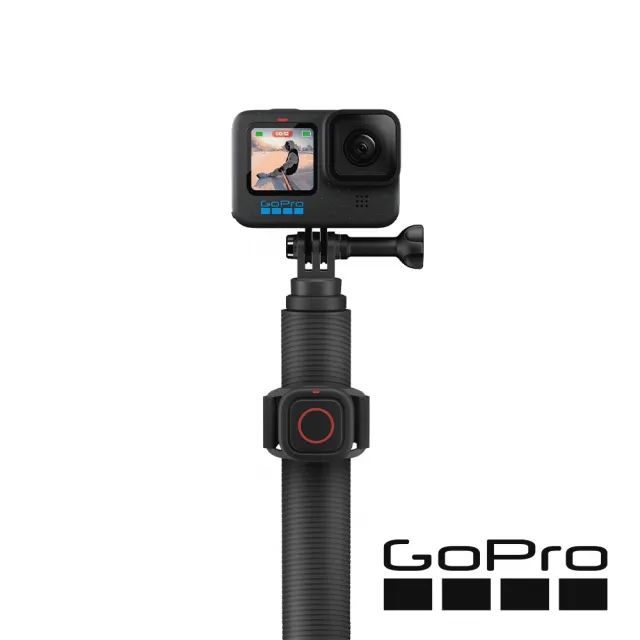 【GoPro】快拆球型延長桿+遙控器(AGXTS-002)