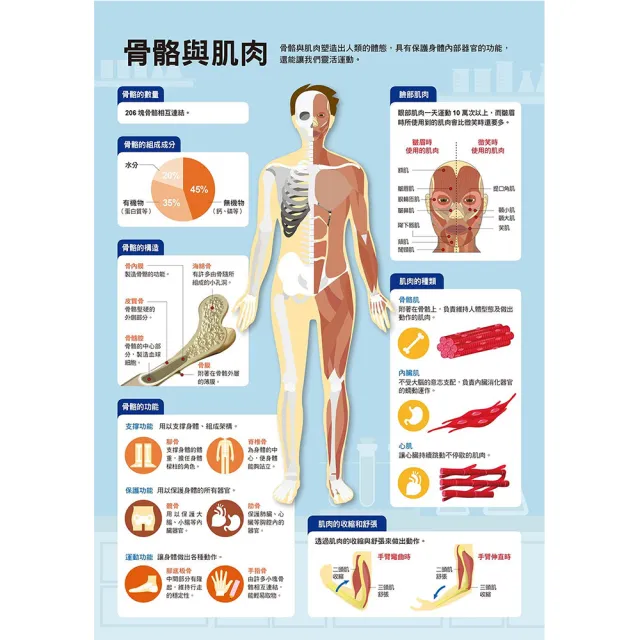 漫畫大英百科套書50集