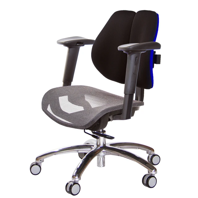 GXG 吉加吉 高雙背網座 電腦椅 鋁腳/T字扶手(TW-2