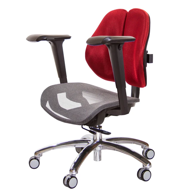 GXG 吉加吉GXG 吉加吉 低雙背網座 工學椅 鋁腳/4D升降扶手(TW-2805 LU3)