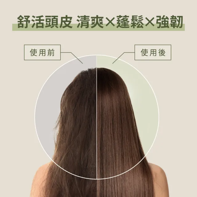 【Hair Recipe】洗髮精/護髮潤髮乳530mlx5 (蘋果生薑潤髮乳/綠茶柚子洗髮精)