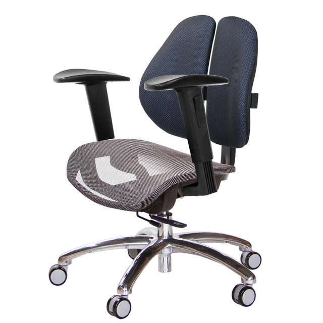 GXG 吉加吉GXG 吉加吉 低雙背網座 工學椅 鋁腳/2D升降扶手(TW-2805 LU2)
