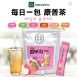 【Jo Go Wu】每日飲韓國康普茶-40入(沖泡飲/乳酸菌/低卡路里)
