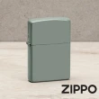 【Zippo官方直營】鼠尾草綠亮漆-素面-防風打火機(美國防風打火機)