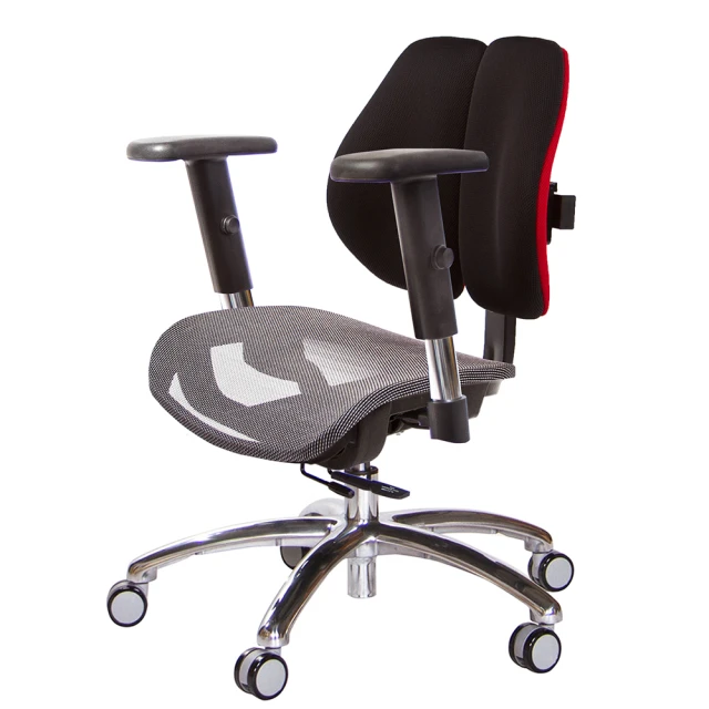 GXG 吉加吉 低雙背網座 工學椅 鋁腳/SO金屬扶手(TW-2805 LU5)