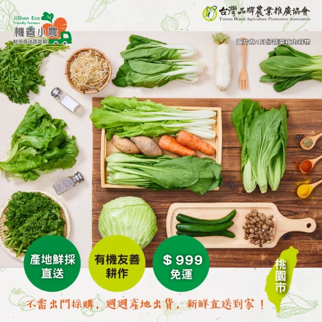 NICE GREEn 美蔬菜 美蔬菜3盒+海茴香銀耳露4瓶送