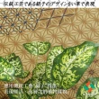 【IKEHIKO】極選藺草地毯DX組子 191×250cm 百年榻榻米 純正日式