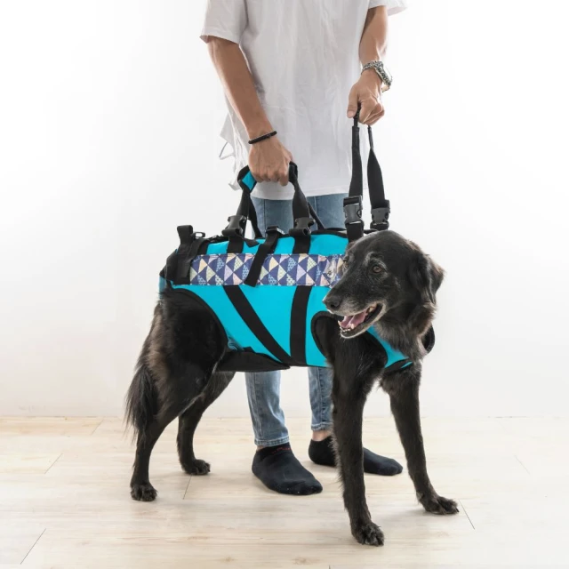 EZ-CARE pet 寵物輔助衣-一般款 L號(狗狗後肢無力 輔助上下樓 行動不便 寵物輔具 寵物護具)