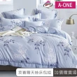 【A-ONE】台灣製 吸濕排汗天絲枕套床包組(單人/雙人/加大 均一價 多款任選)