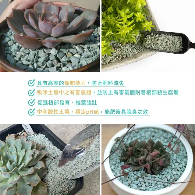 【瘋狂植物社】天然綠沸石1.5公斤裝-4種規格(天然礦石、排水性、透氣性、保肥性佳)