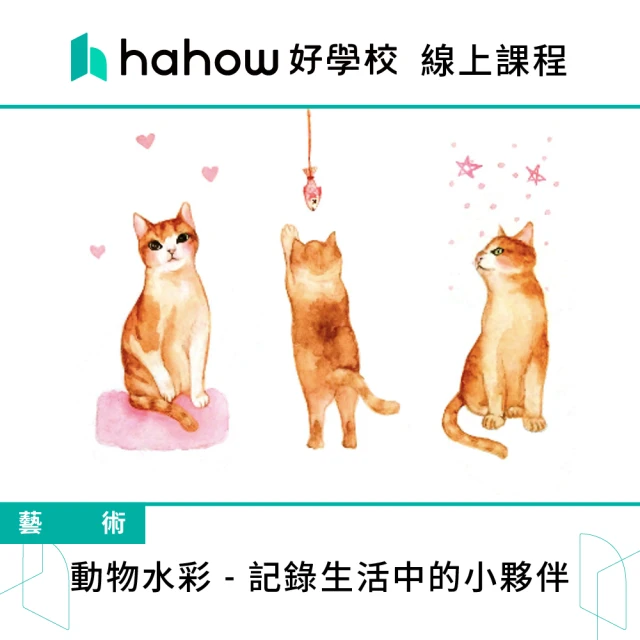 Hahow 好學校 動物水彩 - 記錄生活中的小夥伴