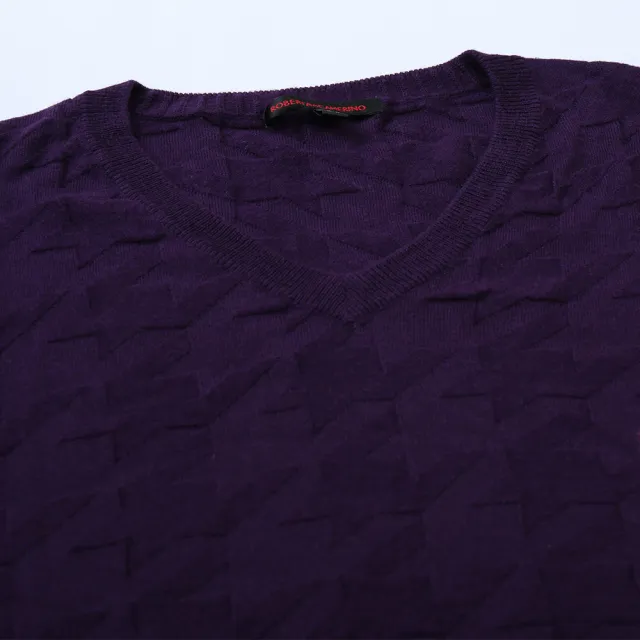 【ROBERTA 諾貝達】ROBERTA諾貝達 台灣製 魅力型男 喀什米爾毛衣(紫色)