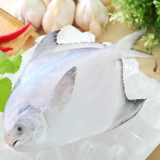 【海之醇】野生捕撈白鯧魚-5包10隻組(350g/包/2尾)