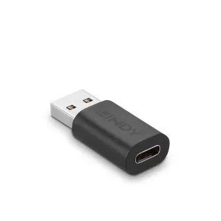 【LINDY 林帝】LINDY 林帝 USB 3.2 Gen2 Type-A/公 to Type-C/母 轉接頭 41904