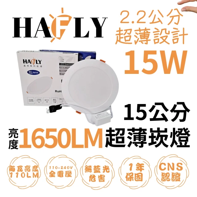 王哥燈飾 2入組 LED 15W 崁孔15CM超薄崁燈(白光/自然光)