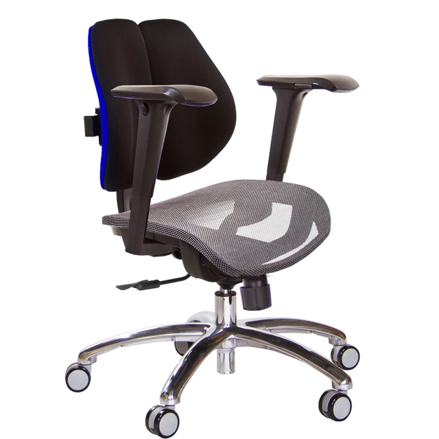 GXG 吉加吉 低雙背網座 2D升降扶手 電腦椅(TW-28