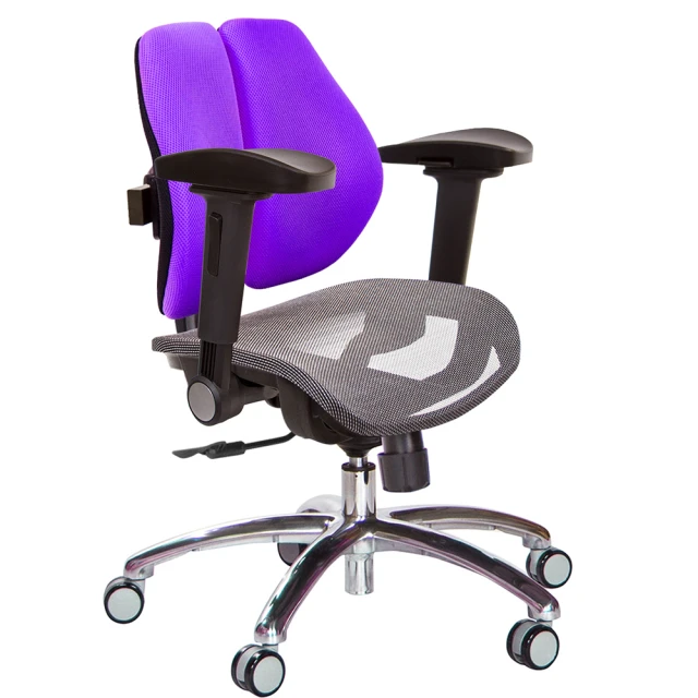 GXG 吉加吉 低雙背網座 鋁腳/4D弧面摺疊扶手 電腦椅(TW-2803 LU1D)