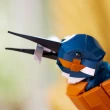 【LEGO 樂高】Icons 10331 翠鳥(動物模型 居家擺設 禮物)
