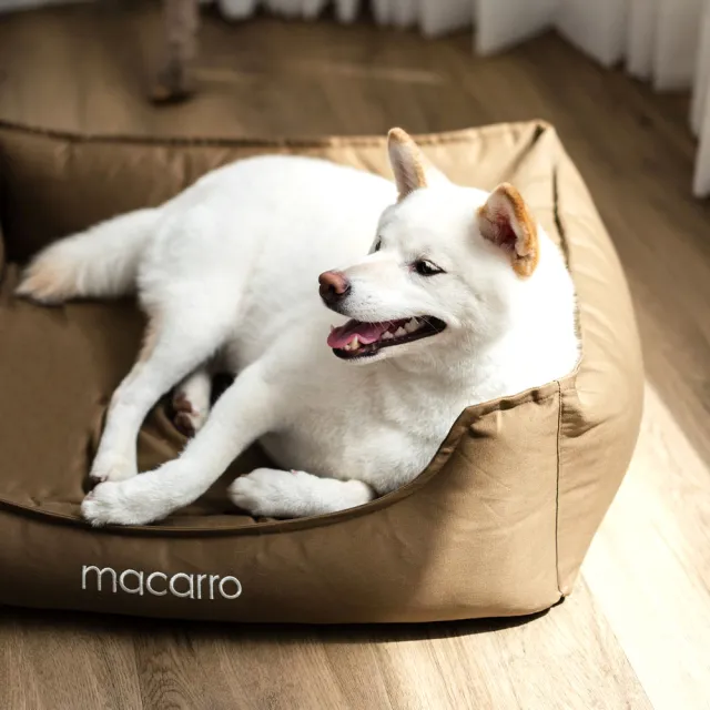 【macarro馬卡兒寵物】乳膠寵物床 XS號-純棉款(三種顏色)