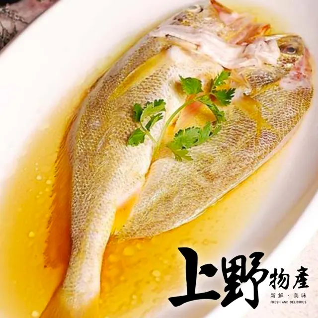 【上野物產批發館】嚴選黃魚一夜干(210g±10%/隻 海鮮/水產/魚/一夜乾)