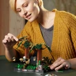 【LEGO 樂高】星際大戰系列 75353 Endor Speeder Chase Diorama(莉亞公主和路克天行者 Star Wars)