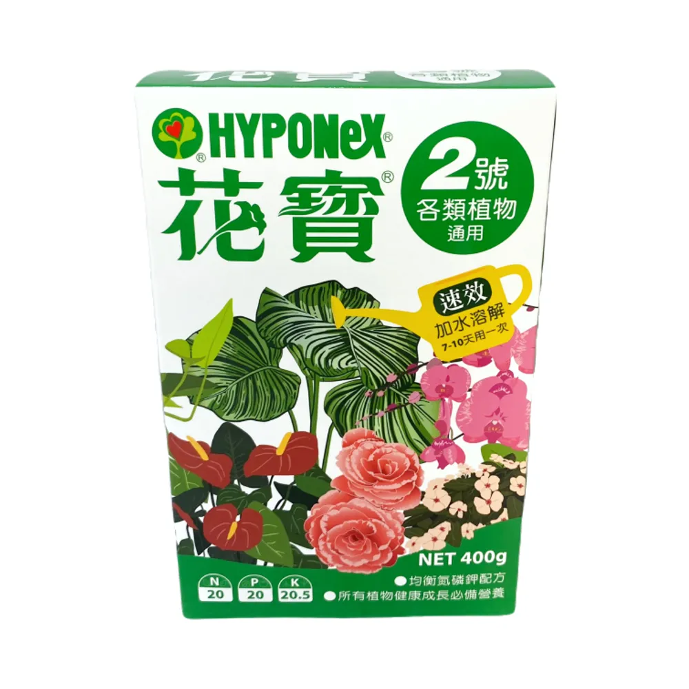 【HOMEDEN】大花寶2號400g(各類植物通用)