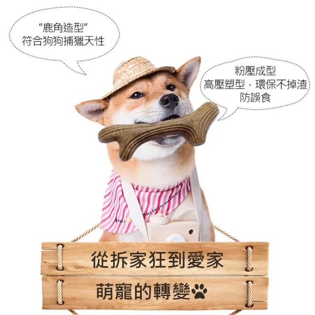 【AFAMIC 艾法】2入組-超耐咬寵物磨牙訓練安全無毒咬咬玩具潔牙棒(潔牙骨 狗零食 寵物玩具)