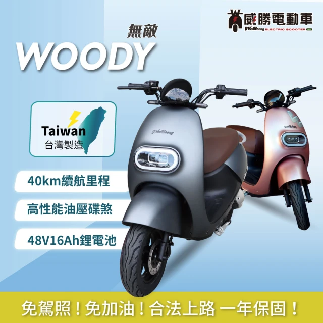 【威勝電動車】無敵 WOODY 微型電動二輪車-TSV50(免駕照/合法上路/微電車)