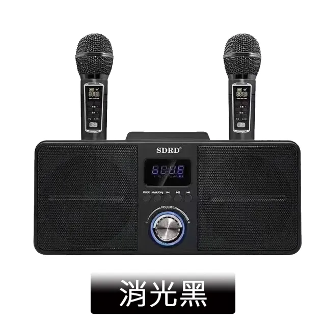 【DYD】SD309攜帶式藍牙音箱 贈防噴套(家庭KTV 無線藍牙音響 限量款)