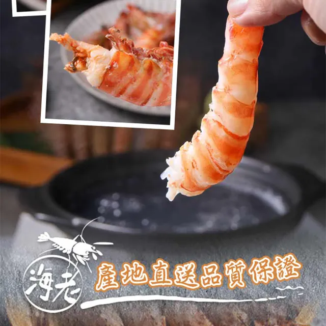 【享吃海鮮】澎湖活凍野生明蝦1盒(450g±5%/盒 斑節蝦 海大蝦 雷公蝦 大蝦)