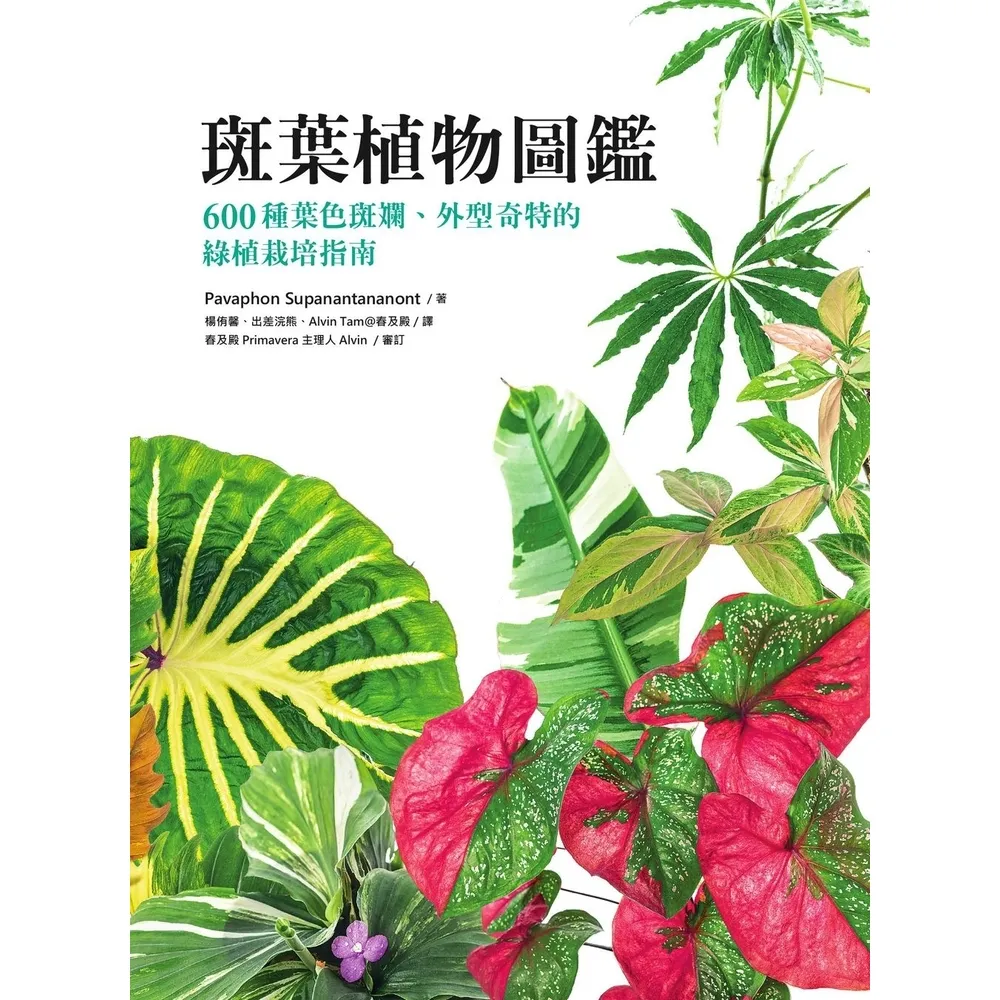 【momoBOOK】斑葉植物圖鑑：600種葉色斑斕、外型奇特的綠植栽培指南(電子書)