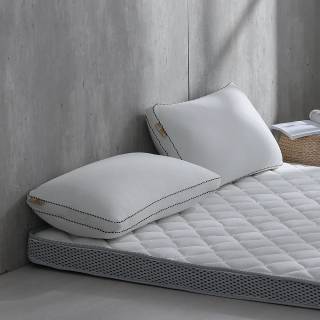 Darphia 朵法亞 棉眠枕 可水洗獨立筒枕2.0-超值兩入組 台灣製造(棉眠枕/獨立筒枕2.0)