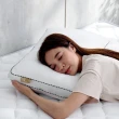 【Darphia 朵法亞】超值兩入組-銀粒子棉眠枕 可水洗獨立筒枕2.0 贈洗衣袋(臺灣製造/抗菌防蟎/尺寸精準)