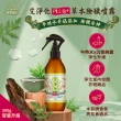 【美吾髮】加大版 艾系列淨化PLUS午時水+草本淨身除穢噴霧300g(艾草/空間除穢/舒緩安神/旅行必備/艾淨化)