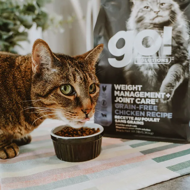 【Go!】無穀雞肉3磅 貓咪低脂關節保健系列 全貓配方(貓糧 貓飼料 體重控制 寵物食品 全齡貓 胖胖貓)