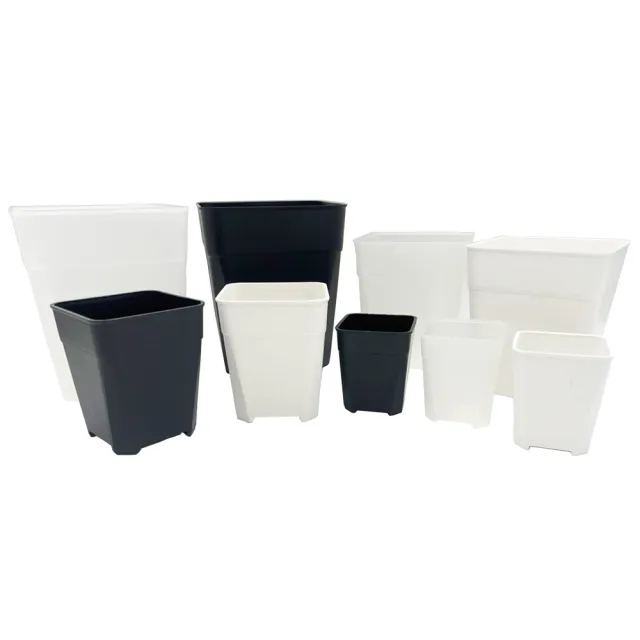 【小美紀】透氣盆(3寸 4寸 5寸 6寸 加高花盆 盆裁 多肉盆)