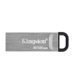 【Kingston 金士頓】DTKN/512GB(DTKN/512GB)