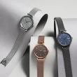 【CASIO 卡西歐】SHEEN 現代極簡時尚腕錶 母親節 禮物(SHE-4562BM-2A)