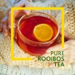 【Freshpak】南非國寶茶RooibosTea茶包-新包裝2.5克x40入x12盒/箱(無咖啡因、抗氧化、晚安茶)