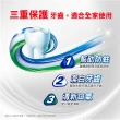 【Colgate 高露潔】三重功效牙膏160gX3入(潔白牙齒/口氣清新)