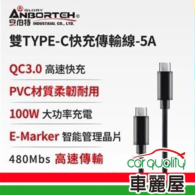 ANBORTEH 安伯特 雙TYPE-C快充傳輸線100W/