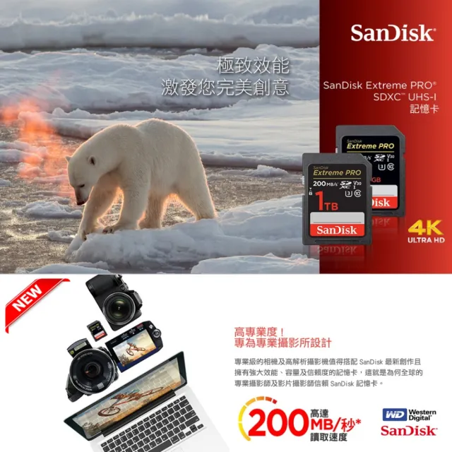 【SanDisk 晟碟】[全新版 再升級] 256GB Extreme PRO SDXC V30  記憶卡 200MB/s(專業攝影 原廠永久保固)